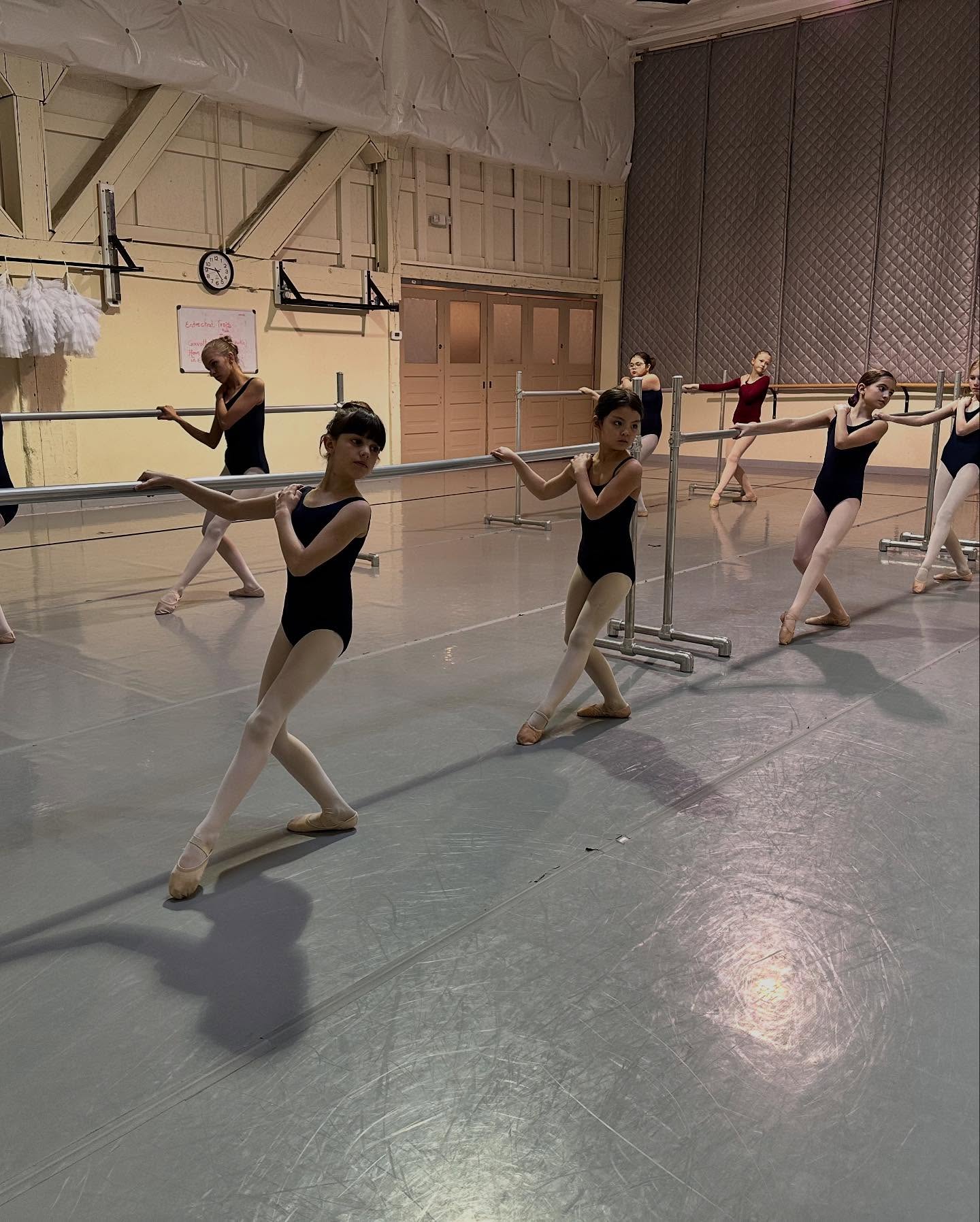 Ballet Arts Academy gallery image 3